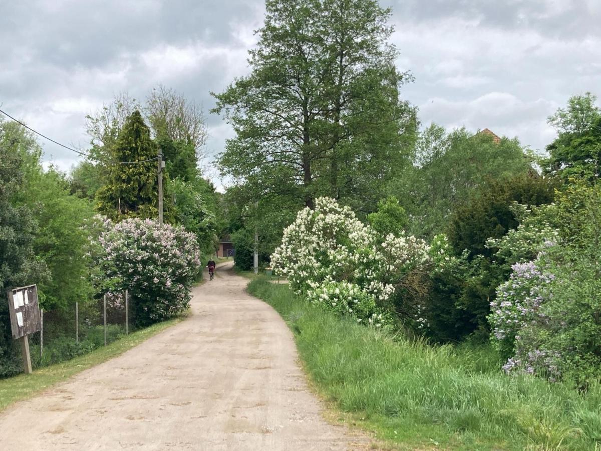 Ferienwohnung Im Gutshaus Alt Krassow Inmitten Der Natur Lalendorf ภายนอก รูปภาพ