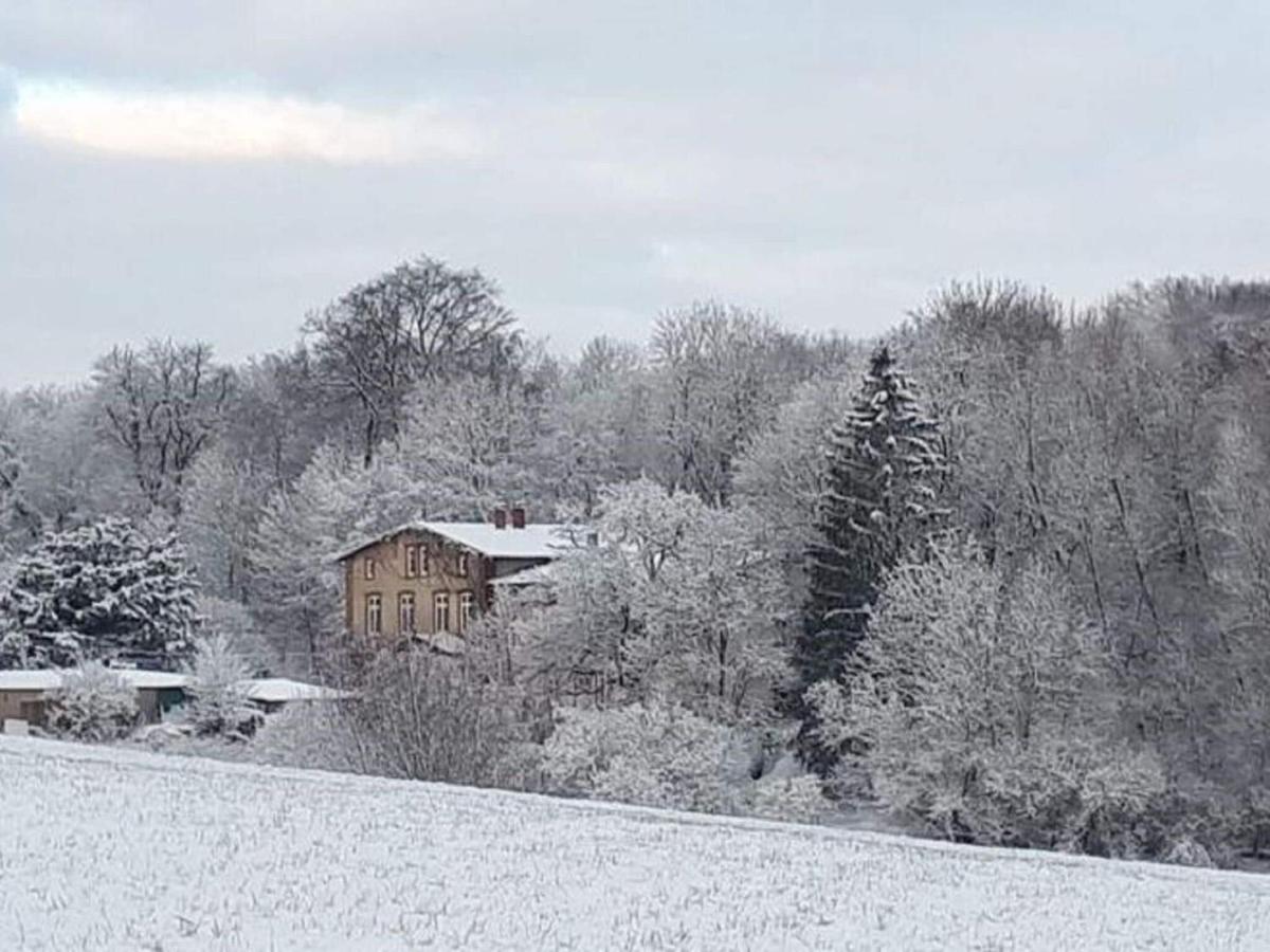 Ferienwohnung Im Gutshaus Alt Krassow Inmitten Der Natur Lalendorf ภายนอก รูปภาพ