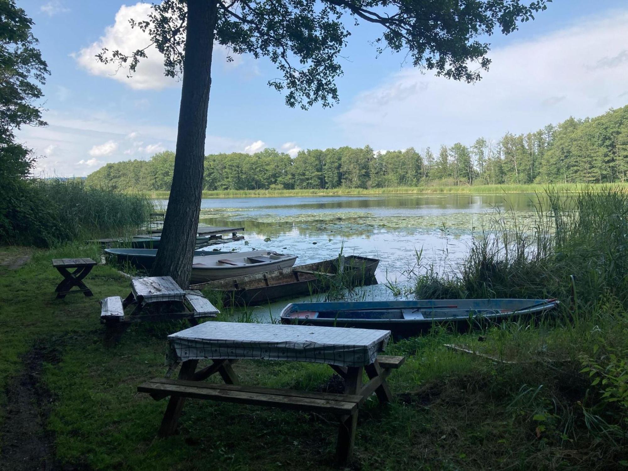 Ferienwohnung Im Gutshaus Alt Krassow Inmitten Der Natur Lalendorf ภายนอก รูปภาพ