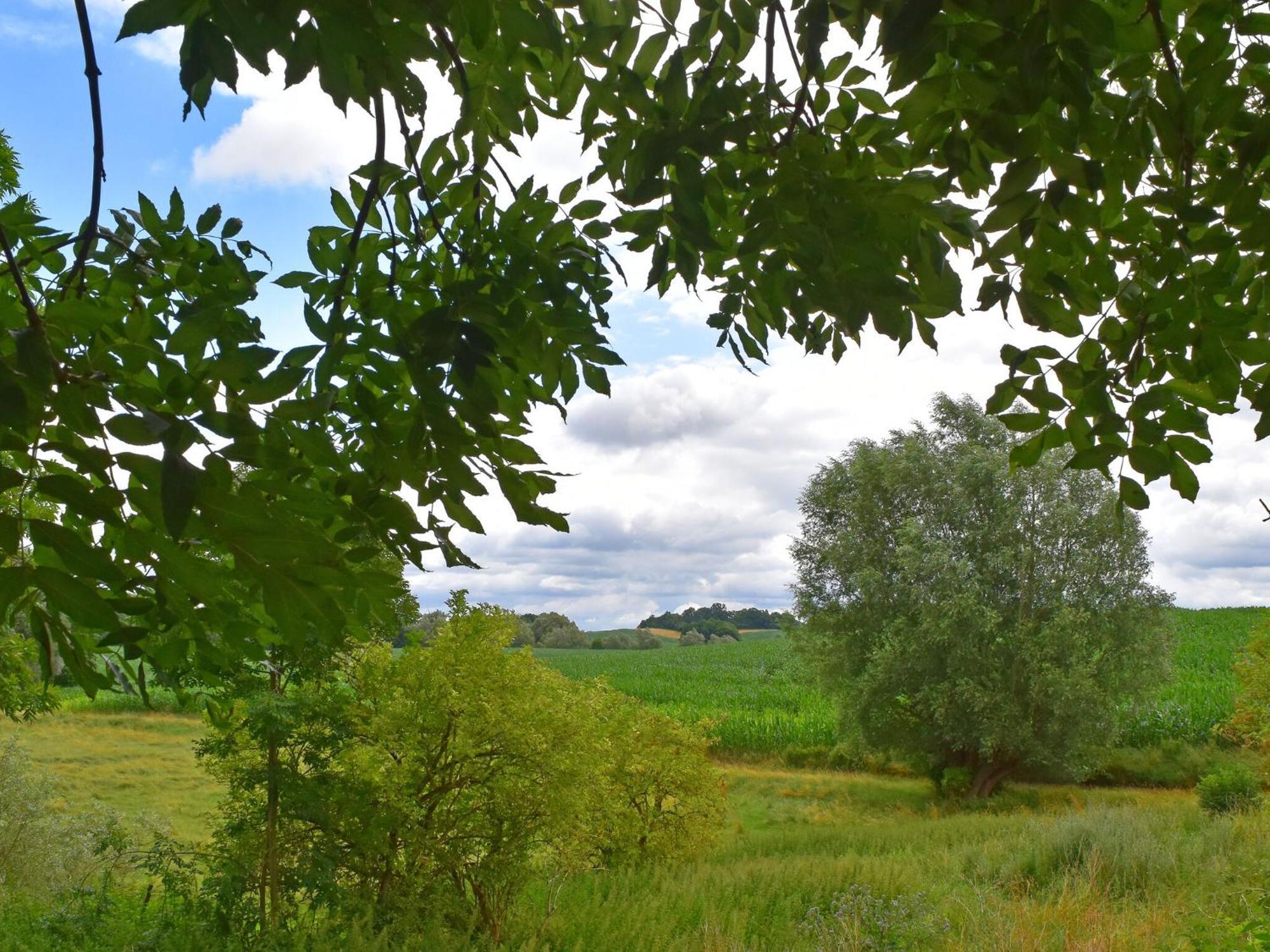 Ferienwohnung Im Gutshaus Alt Krassow Inmitten Der Natur Lalendorf ภายนอก รูปภาพ